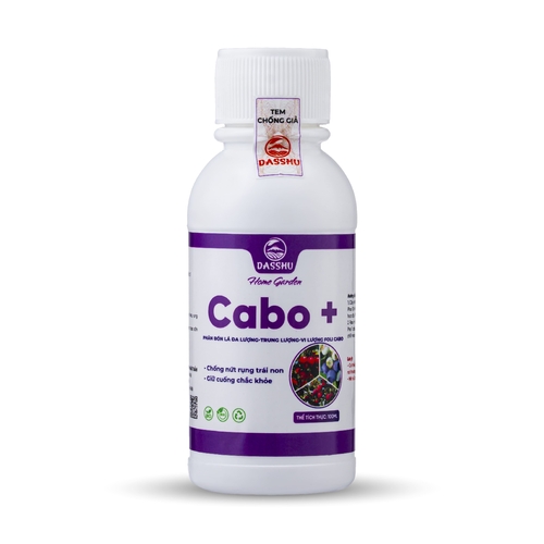 DS CABO +