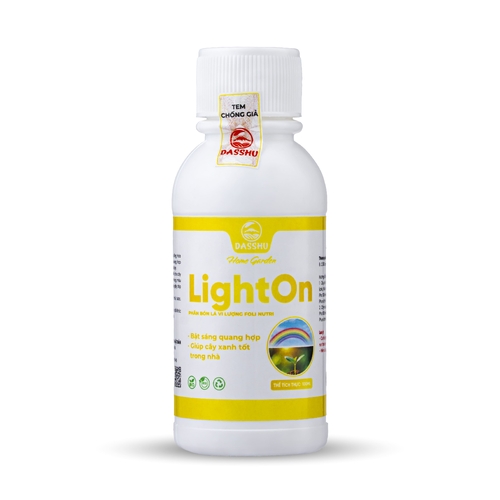 DS LIGHTON