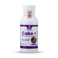 DS CABO +
