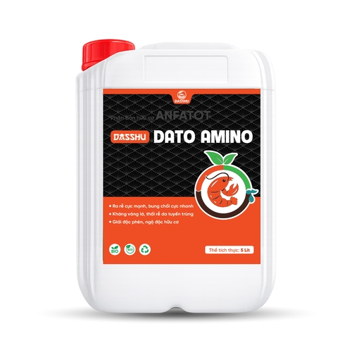 DATO AMINO (5L)