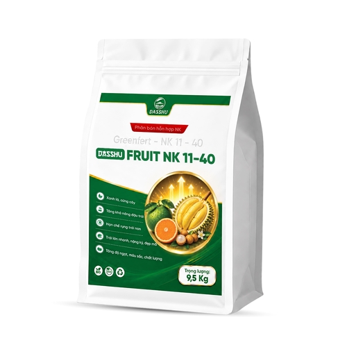 DS FRUIT NK 11-40