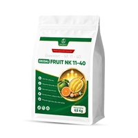 DS FRUIT NK 11-40