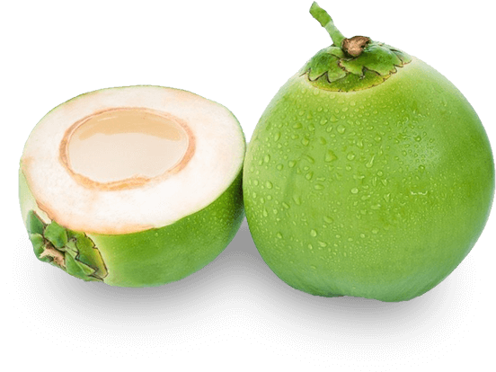 Dừa