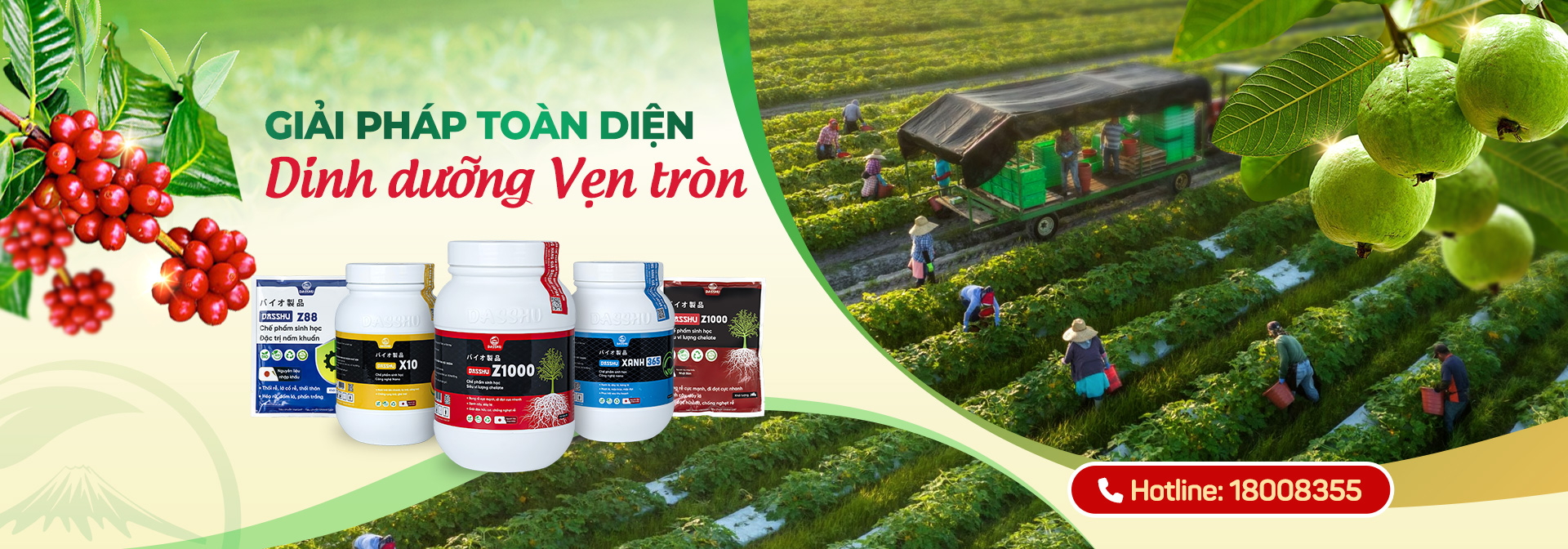 Giải pháp toàn diện