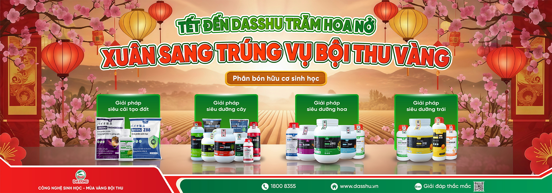 banner dasshu tết