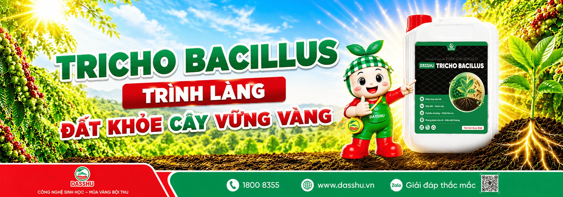 Dasshu banner