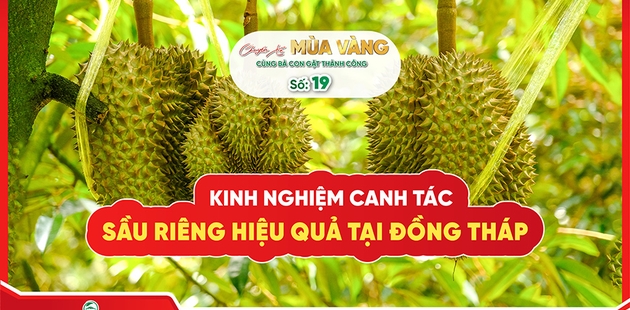 CHUYẾN XE MÙA VÀNG TẬP 19