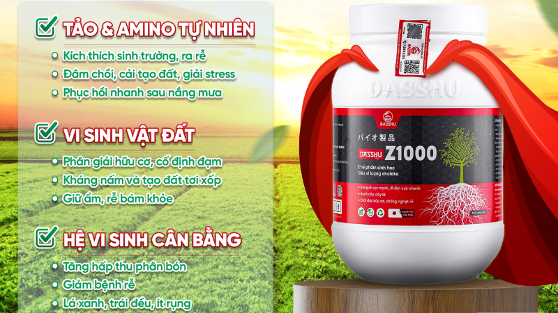 Người hùng thầm lặng giúp cây khỏe, xanh Z1000