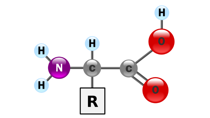 Cấu truc Amino acid