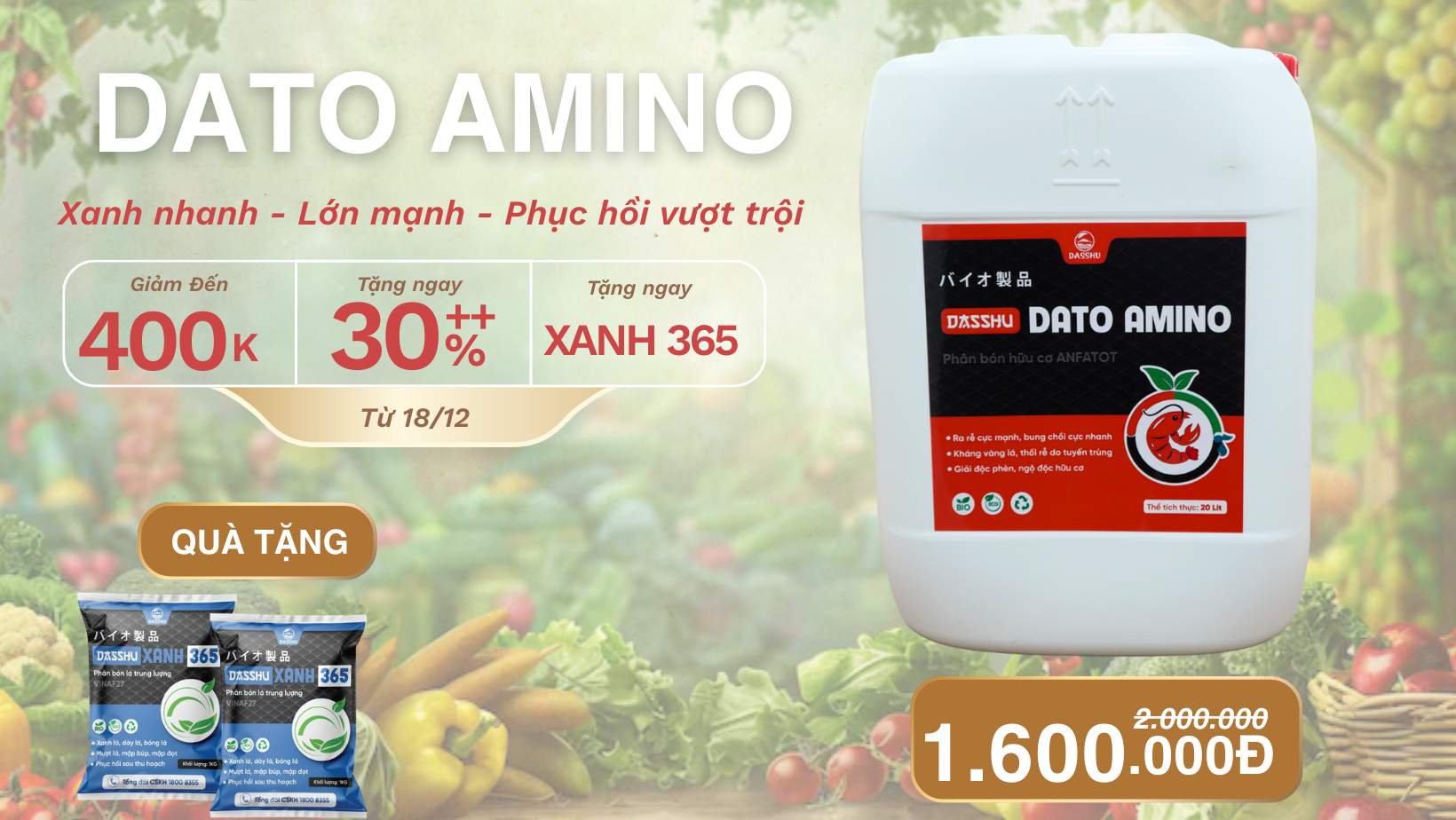 Dasshu Dato Amino khuyễn mãi giảm 400.000