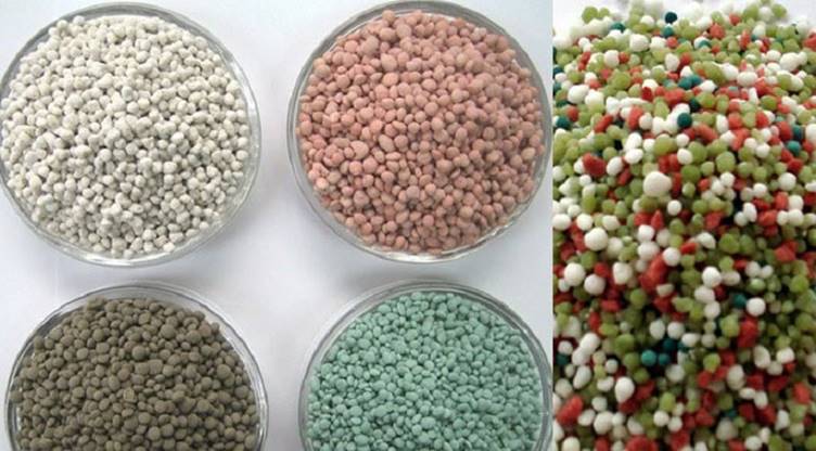 Phân bón NPK thành phần công dụng