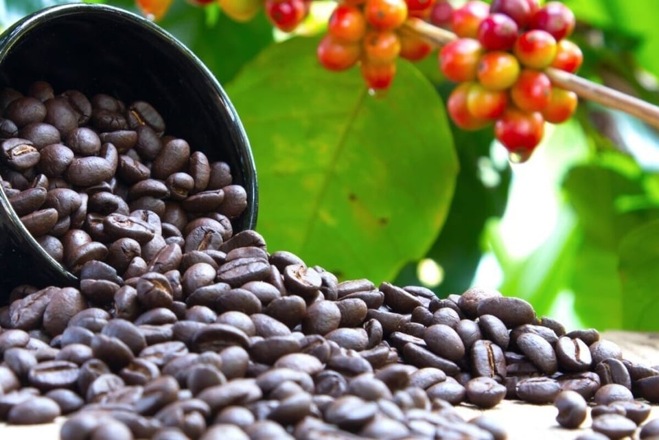 Biến động, tác dộng tới doanh nghiêp