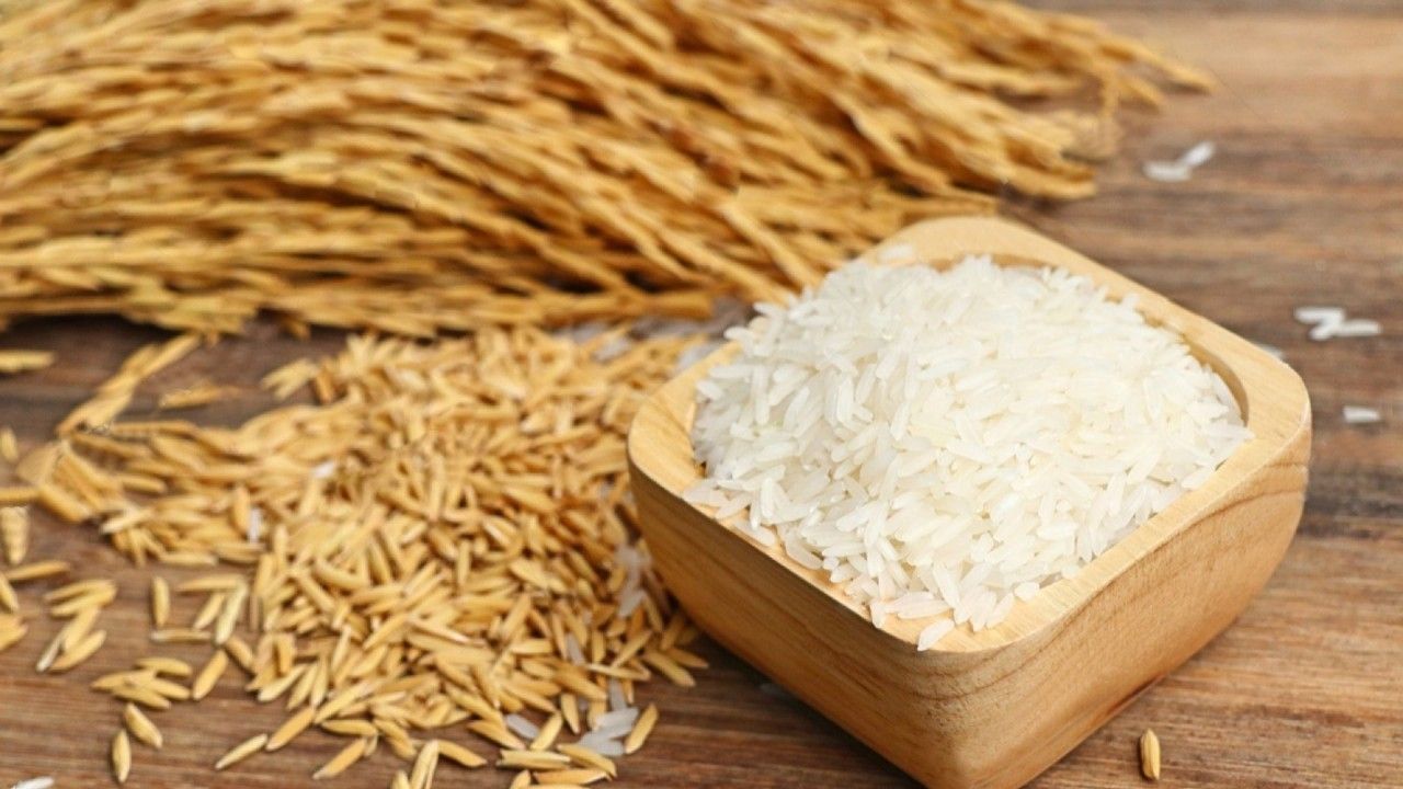  Nông dân thu hoạch lúa Đông Xuân đầu năm 2026