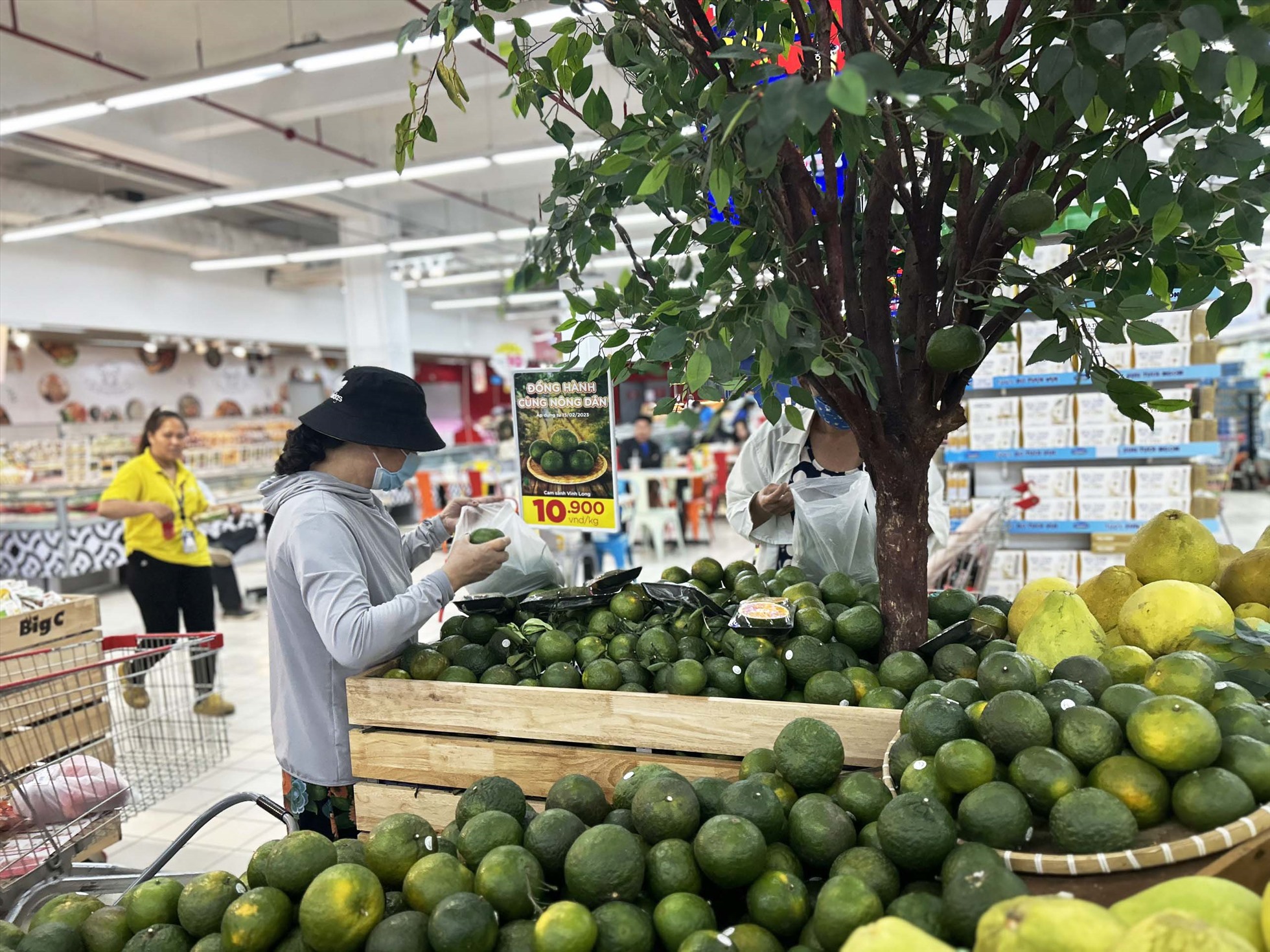 Giá cam sành tại các siêu thị tại TPHCM