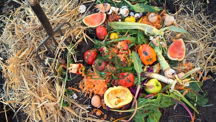 Quy trình cách ủ phân hữu cơ tại nhà