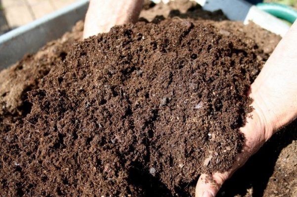 Phân compost hoai mục đạt chuẩn – “vàng đen” cải tạo đất
