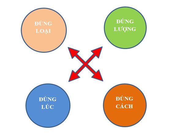 Nguyên tắc 4 đúng khi sử dụng