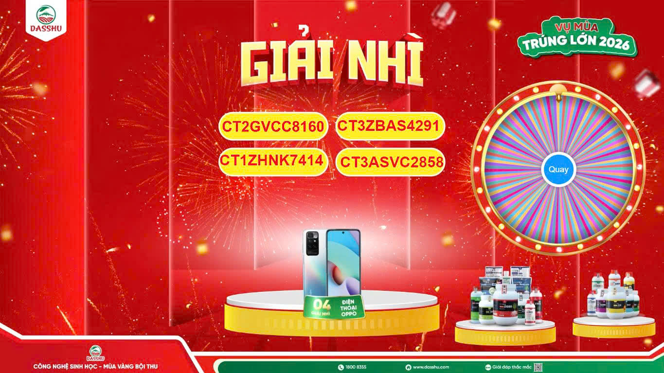 Giải nhì – Điện thoại thông minh