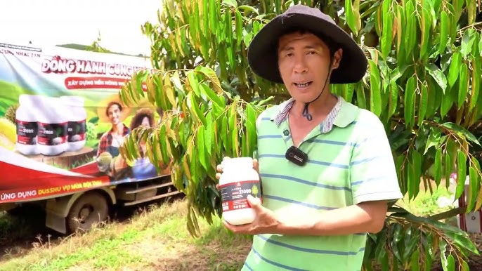 Phản Hồi Của A Lộc Sau Khi Sử Dụng Dasshu