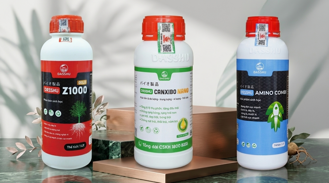 Bộ 3 sản phẩm Z1000 Gold + Amino Combi + Canxibo