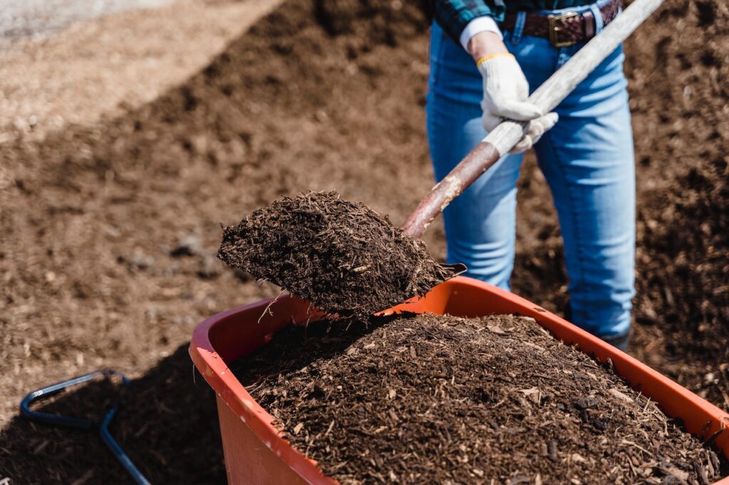 Sử Dụng Trichoderma Đúng Cách Giúp Tăng Hiệu Quả Trong Đất