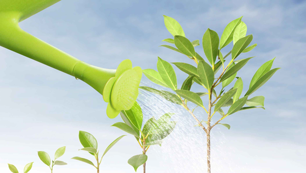 Lợi ích thực tế của phân nano hiệu quả cho nhà vườn