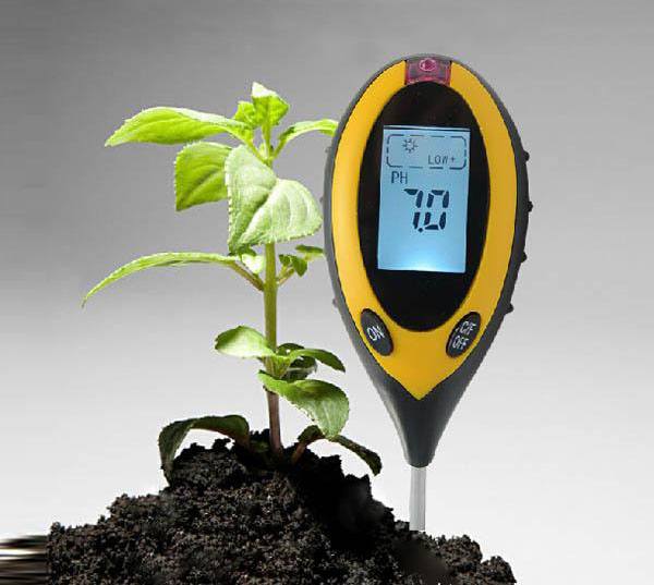 Nhà vườn đo pH đất bằng bút đo hoặc bộ test nhanh tại vườn cây ăn trái