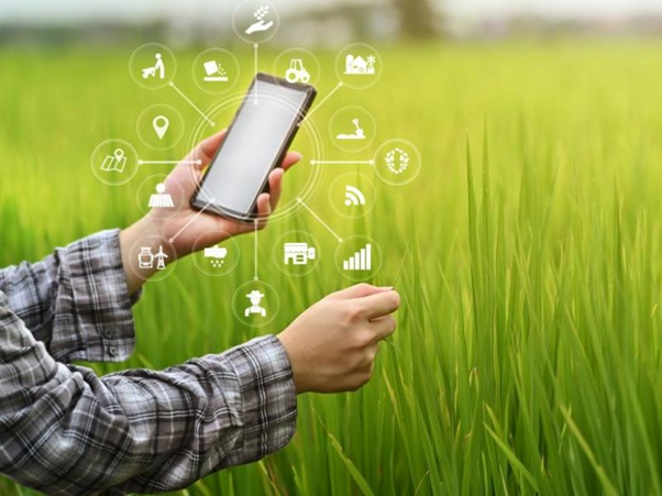 Từ cảm biến đến AI: Hệ sinh thái nông nghiệp số