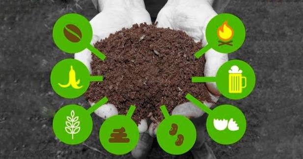 Các nhóm phân bón sinh học phổ biến