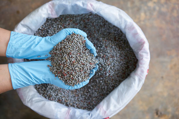 Hạt phân bón vô cơ cung cấp dinh dưỡng khoáng cho cây