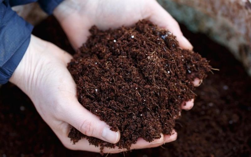 Phân Bón Sinh Học Hỗ Trợ Cải Thiện Đất Trồng