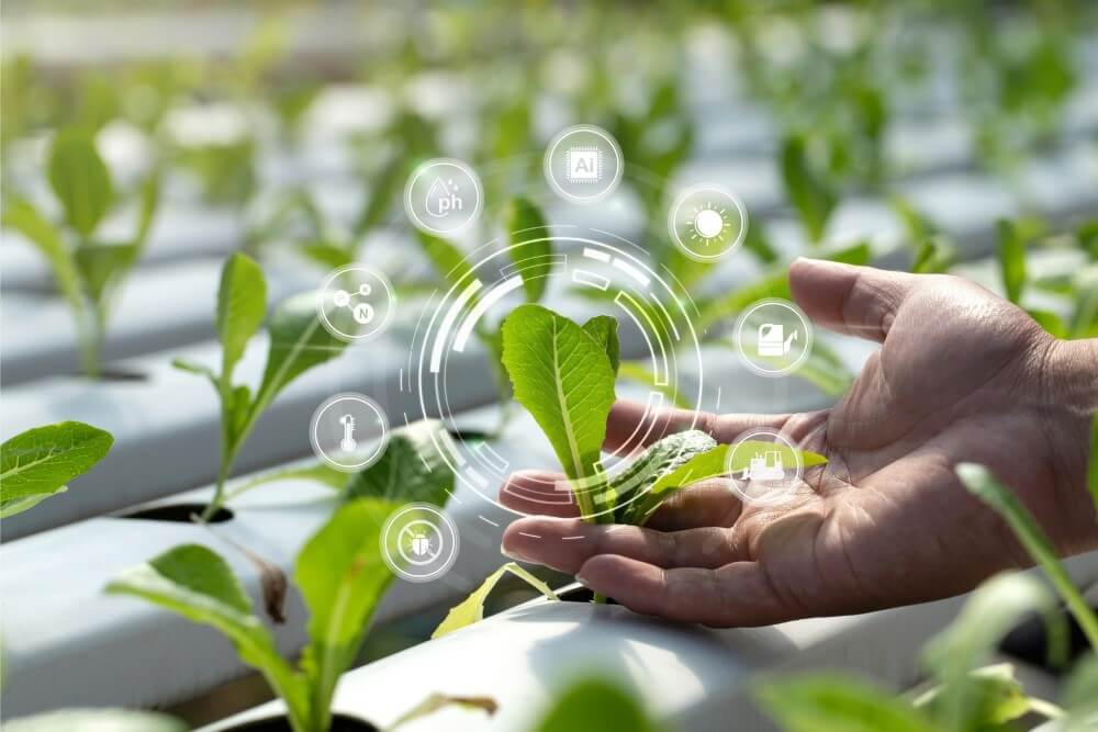 Chế Phẩm Sinh Học Được Ứng Dụng Trong Sản Xuất Nông Nghiệp