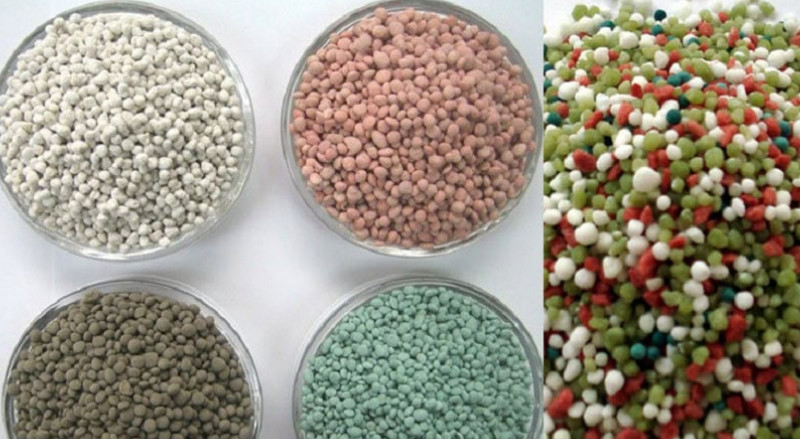 Phối hợp phân bón giúp chăm đất và cung cấp dinh dưỡng cho cây