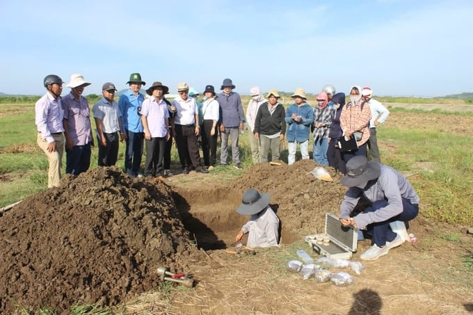 Kiểm tra đất và sức cây trước khi xây dựng chương trình bón phân