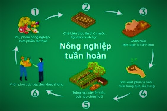 Mô hình nông nghiệp tuần hoàn tận dụng tài nguyên trong sản xuất