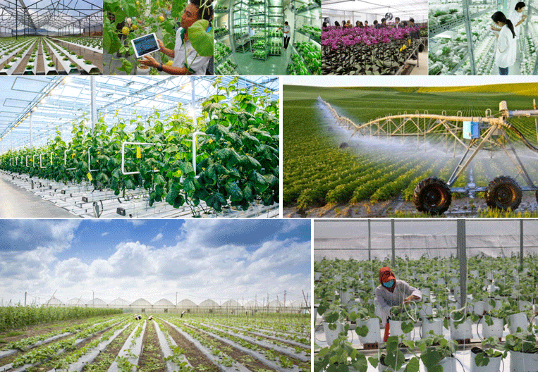 Các mô hình nông nghiệp tuần hoàn phổ biến trong thực tế
